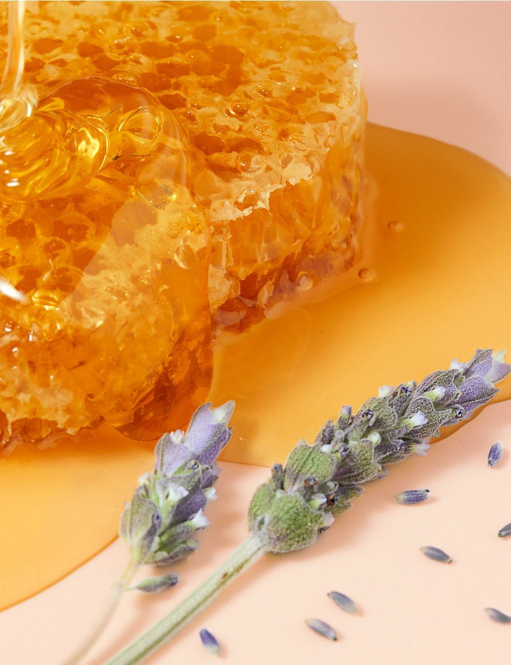 Reve de Miel Lip Balm 15g