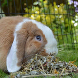 Rosewood Naturals Summer Harvest   150g