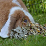 Rosewood Naturals Summer Harvest   150g