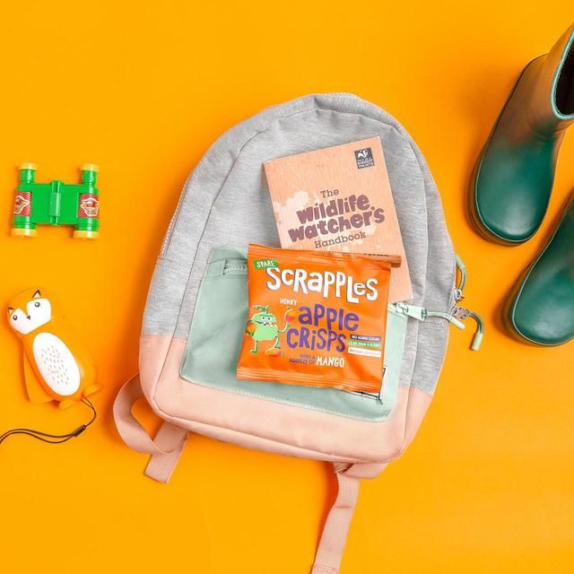 Scrapples Apple &amp;amp; Mango Fruit Crisps   12g