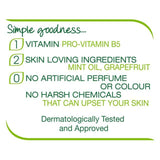 Simple Gentle Care Hand Wash   250ml