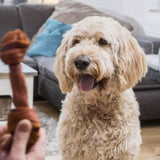 SmartBones 8 Mini Beef Rawhide Free Bones Dog Treats   128g