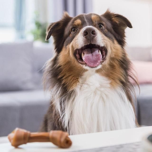 SmartBones 8 Mini Sweet Potato Rawhide Free Bones Dog Treats   128g