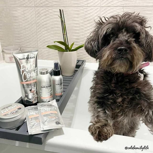 Sniffe &amp;amp; Likkit Fab Paw Soothing &amp;amp; Conditioning Protection Balm for Dogs   75g