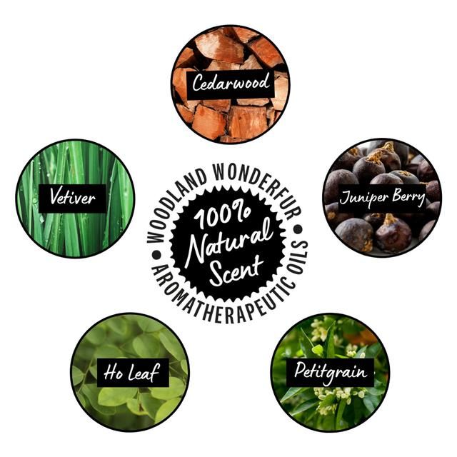 Sniffe &amp;amp; Likkit Fab Paw Soothing &amp;amp; Conditioning Protection Balm for Dogs   75g