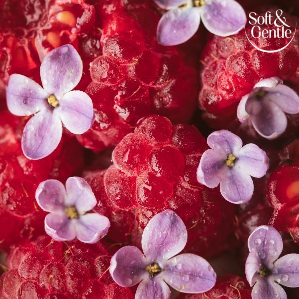 Soft &amp;amp; Gentle Aerosol Berry Bliss 250Ml