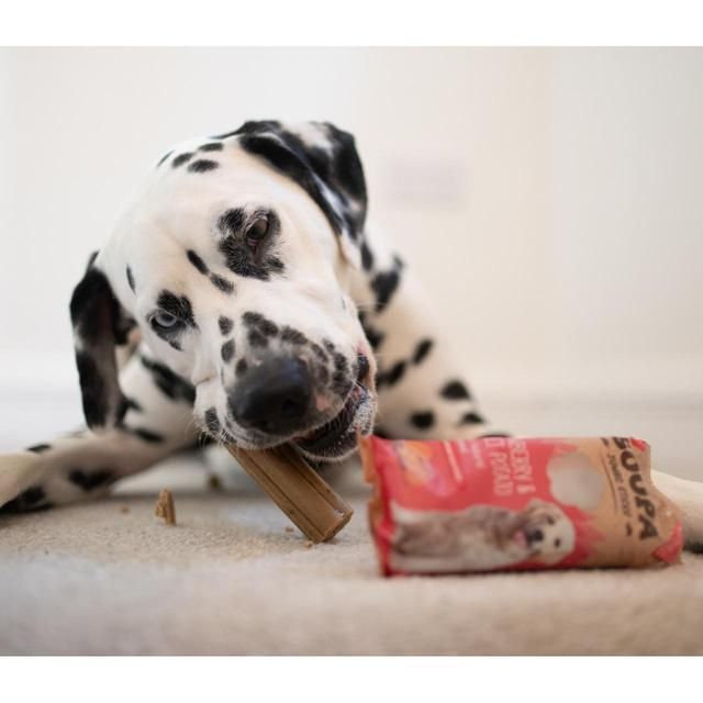 Soopa Cranberry &amp;amp; Sweet Potato Jumbo Stick   170g